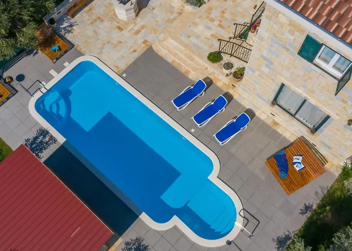 Dominus - By Guide 斯普利特